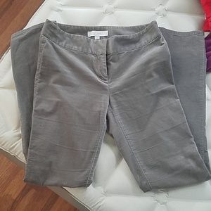 Loft Marissa Fit pants
